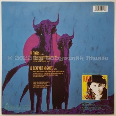 Raul Orellana - Toros • 12" Vinyl Maxi • EX - Labyrinth Music