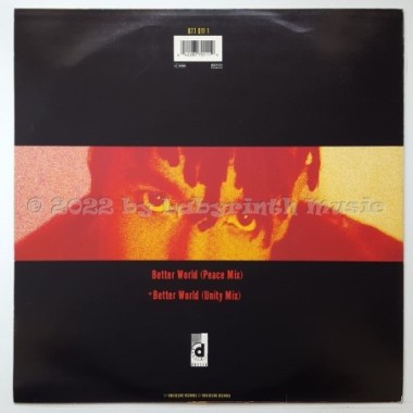 Rebel MC - Better World • 12" Vinyl Maxi • EX - Labyrinth Music