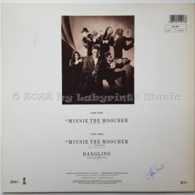 Reggae Philharmonic Orchestra - Minnie The Moocher • 12" Vinyl Maxi - Labyrinth Music