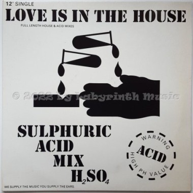 Rhythm Mode:D Feat. Maxine Richards - Love Is In The House • 12" Vinyl Maxi • EX - Labyrinth Music