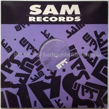 Richard Rogers - All I Want • 12" Vinyl Maxi • NM - Labyrinth Music