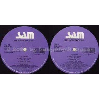 Richard Rogers - All I Want • 12" Vinyl Maxi • NM - Labyrinth Music
