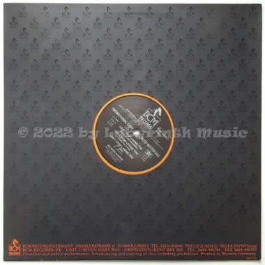 Richard Rogers - Can't Stop Loving You • 12" Vinyl Maxi • MINT - Labyrinth Music