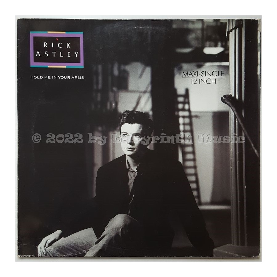 Rick Astley - Hold Me In Your Arms • 12" Vinyl Maxi - Labyrinth Music
