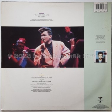 Rick Astley - Hold Me In Your Arms • 12" Vinyl Maxi - Labyrinth Music