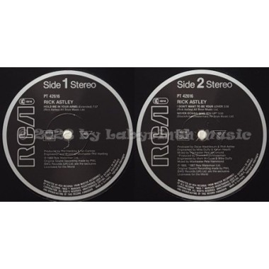 Rick Astley - Hold Me In Your Arms • 12" Vinyl Maxi - Labyrinth Music