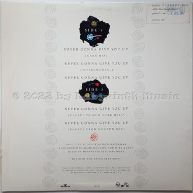Rick Astley - Never Gonna Give You Up • 12" Vinyl Maxi - Labyrinth Music