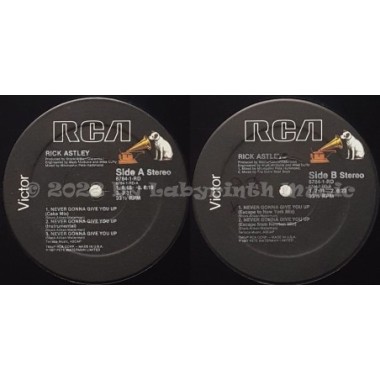 Rick Astley - Never Gonna Give You Up • 12" Vinyl Maxi - Labyrinth Music