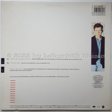 Rick Astley - Take Me To Your Heart • The Dick Dastardly Mix • 12" Vinyl Maxi • EX - Labyrinth Music