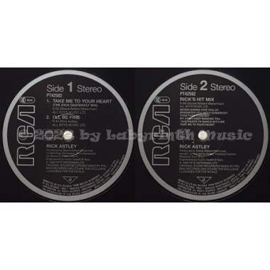 Rick Astley - Take Me To Your Heart • The Dick Dastardly Mix • 12" Vinyl Maxi • EX - Labyrinth Music