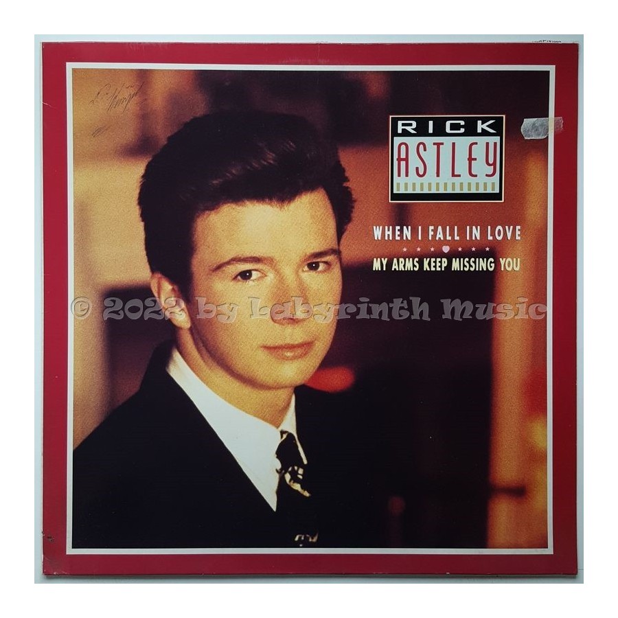 Rick Astley - When I Fall In Love • 12" Vinyl Maxi • EX - Labyrinth Music