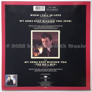 Rick Astley - When I Fall In Love • 12" Vinyl Maxi • EX - Labyrinth Music