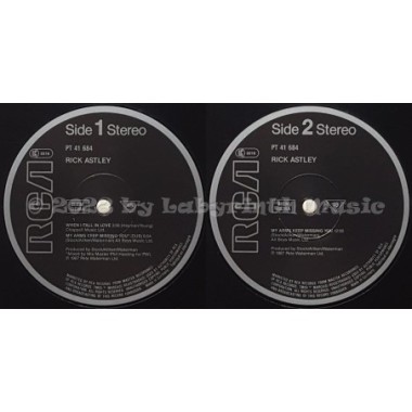 Rick Astley - When I Fall In Love • 12" Vinyl Maxi • EX - Labyrinth Music