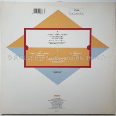 Rick Astley - Whenever You Need Somebody • 12" Vinyl Maxi • EX - Labyrinth Music