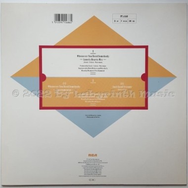 Rick Astley - Whenever You Need Somebody • 12" Vinyl Maxi • MINT - Labyrinth Music