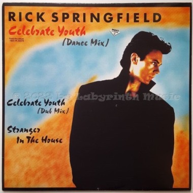 Rick Springfield - Celebrate Youth • 12" Vinyl Maxi • EX - Labyrinth Music