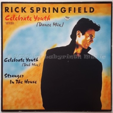 Rick Springfield - Celebrate Youth • 12" Vinyl Maxi • EX - Labyrinth Music