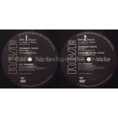 Rick Springfield - Celebrate Youth • 12" Vinyl Maxi • EX - Labyrinth Music