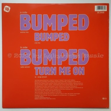 Right Said Fred - Bumped • 12" Vinyl Maxi - Labyrinth Music