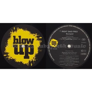 Right Said Fred - Bumped • 12" Vinyl Maxi - Labyrinth Music