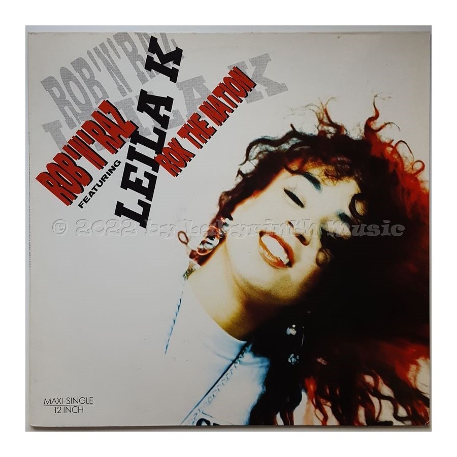 Rob 'n' Raz Feat. Leila K - Rok The Nation • 12" Vinyl Maxi • MINT - Labyrinth Music