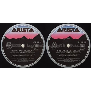 Rob 'n' Raz Feat. Leila K - Rok The Nation • 12" Vinyl Maxi • MINT - Labyrinth Music