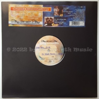 2 Be Or Not 2 Be - Sunny Summerday • 12" Vinyl Maxi • MINT - Labyrinth Music