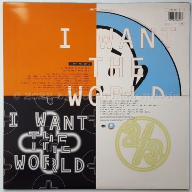 2wo Third3 - I Want The World • 12" Vinyl Maxi • EX - Labyrinth Music