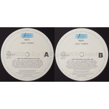 2wo Third3 - I Want The World • 12" Vinyl Maxi • EX - Labyrinth Music