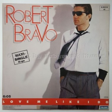Robert Bravo - Love Me Like I Do • 12" Vinyl Maxi • EX - Labyrinth Music