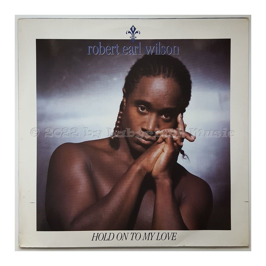Robert Earl Wilson - Hold On To My Love • 12" Vinyl Maxi • EX - Labyrinth Music