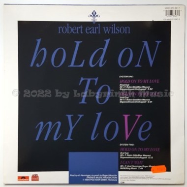 Robert Earl Wilson - Hold On To My Love • 12" Vinyl Maxi • EX - Labyrinth Music