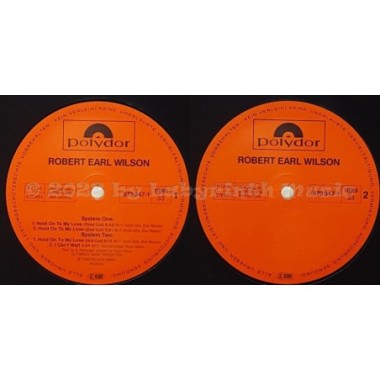 Robert Earl Wilson - Hold On To My Love • 12" Vinyl Maxi • EX - Labyrinth Music