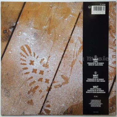 Robert Howard & Kym Mazelle - Wait ! • 12" Vinyl Maxi • EX - Labyrinth Music