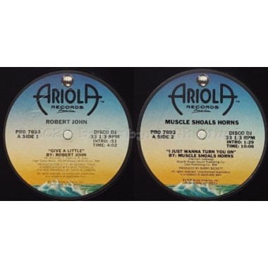 Robert John / Muscle Shoals Horns - Give A Little / I Just Wanna Turn You On • 12" Vinyl Maxi • NM - Labyrinth Music