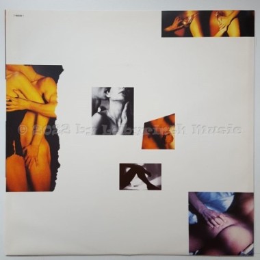 Robert Long - Leidenschaft • 12" Vinyl LP • NM - Labyrinth Music