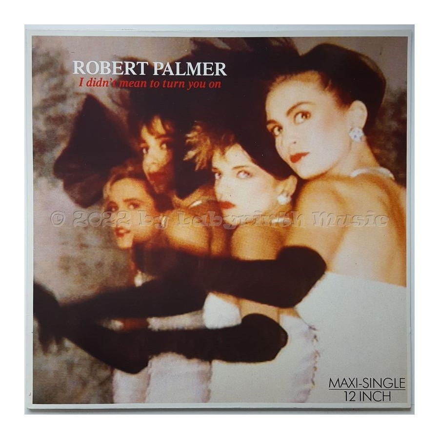 Robert Palmer - I Didn't Mean To Turn You On • 12" Vinyl Maxi • NM - Labyrinth Music