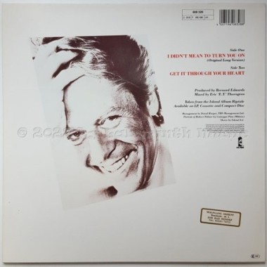 Robert Palmer - I Didn't Mean To Turn You On • 12" Vinyl Maxi • NM - Labyrinth Music