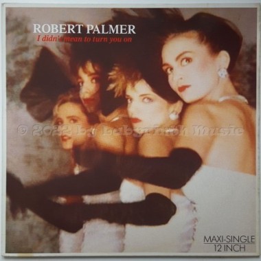 Robert Palmer - I Didn't Mean To Turn You On • 12" Vinyl Maxi • EX - Labyrinth Music
