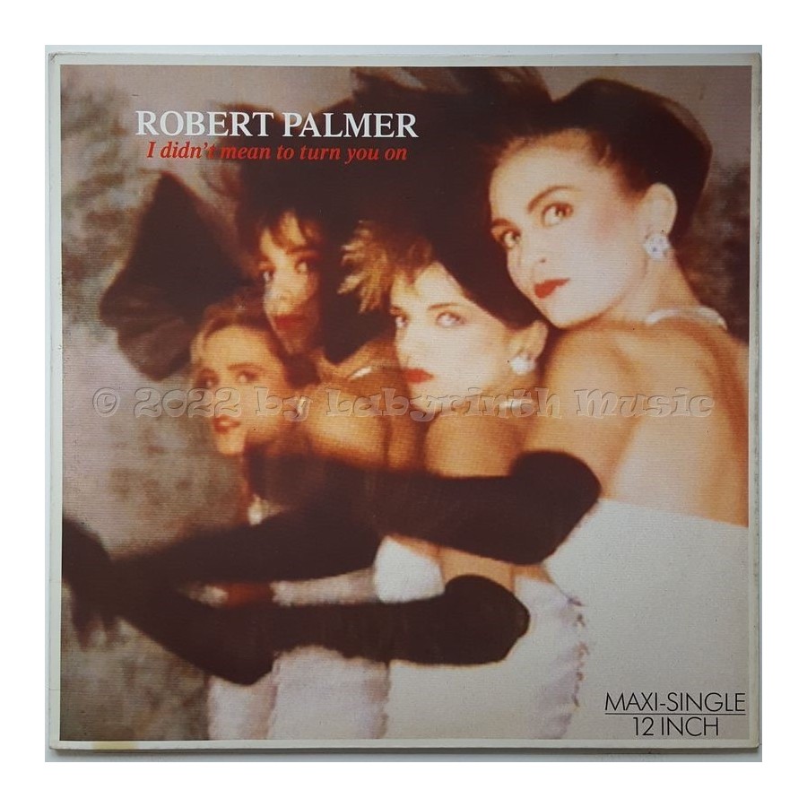 Robert Palmer - I Didn't Mean To Turn You On • 12" Vinyl Maxi • EX - Labyrinth Music