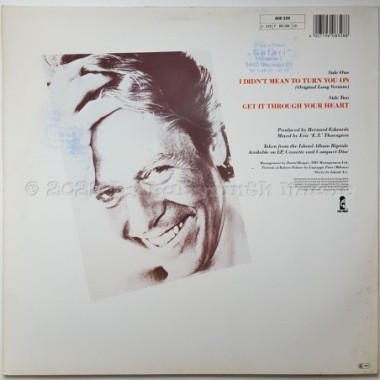 Robert Palmer - I Didn't Mean To Turn You On • 12" Vinyl Maxi • EX - Labyrinth Music