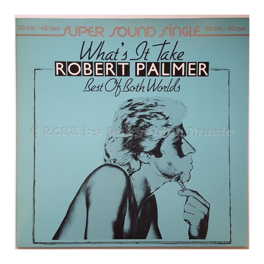Robert Palmer - What's It Take • 12" Vinyl Maxi • MINT - Labyrinth Music