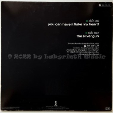 Robert Palmer - You Can Have It (Take My Heart) • 12" Vinyl Maxi - Labyrinth Music