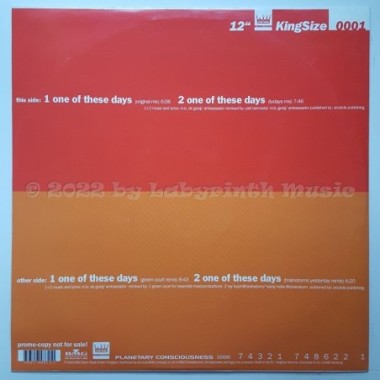 Ambassador - One Of These Days • 12" Vinyl Maxi • MINT - Labyrinth Music