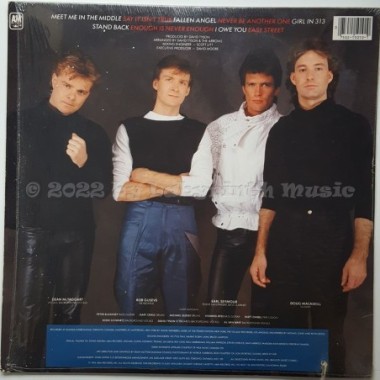 The Arrows - Stand Back • 12" Vinyl LP • MINT - Labyrinth Music