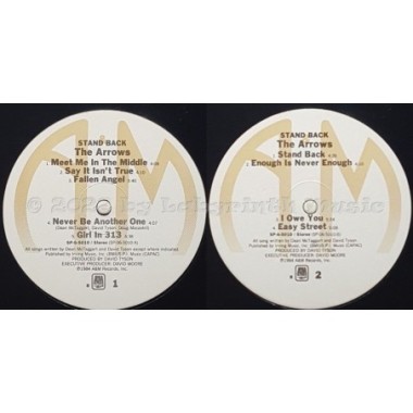 The Arrows - Stand Back • 12" Vinyl LP • MINT - Labyrinth Music