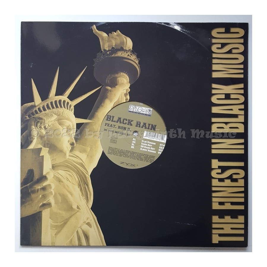 Black Rain Feat. Ronald C. Davis Jr. - Do You Wanna Be • 12" Vinyl Maxi • EX - Labyrinth Music