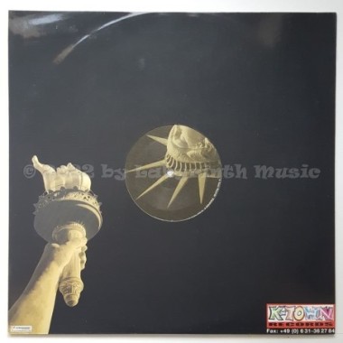 Black Rain Feat. Ronald C. Davis Jr. - Do You Wanna Be • 12" Vinyl Maxi • EX - Labyrinth Music