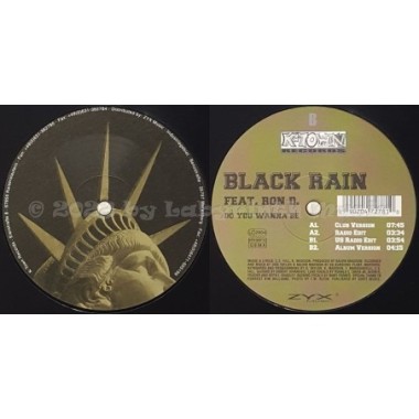 Black Rain Feat. Ronald C. Davis Jr. - Do You Wanna Be • 12" Vinyl Maxi • EX - Labyrinth Music