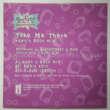 Blackstreet & Mya Feat. Mase & Blinky Blink - Take Me There • 12" Vinyl Maxi • EX - Labyrinth Music